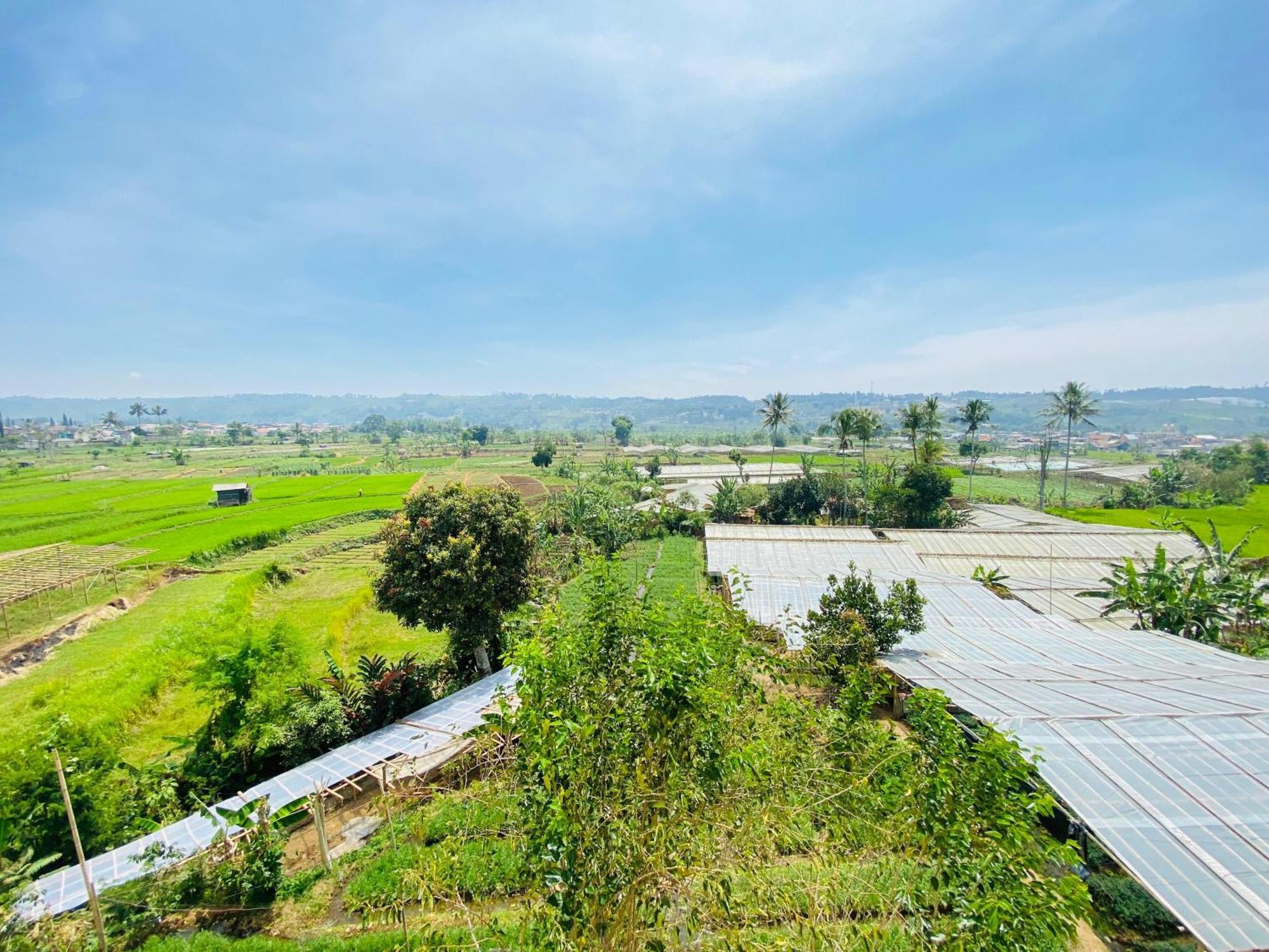 Villa Imperial Diamond Cibadak  Εξωτερικό φωτογραφία